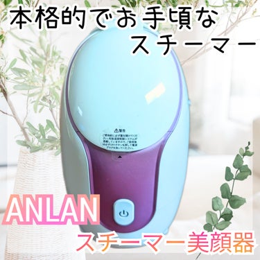 スチーマー美顔器/ANLAN/美顔器・マッサージを使ったクチコミ（1枚目）