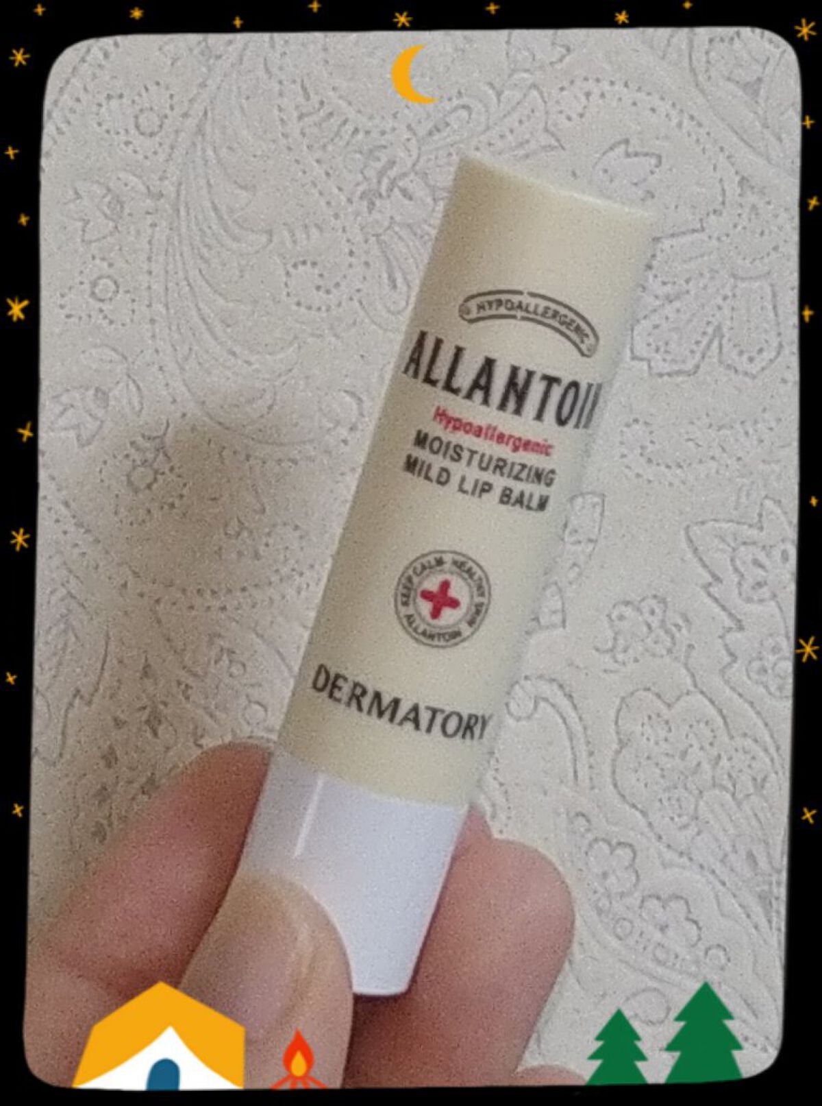 モイスチャーライジングマイルドリップバーム/Dermatory/リップケアを使ったクチコミ(1枚目)