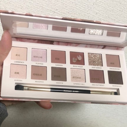 エクスプローラ12色 動物アイシャドウパレット/PERFECT DIARY/アイシャドウパレットを使ったクチコミ(6枚目)