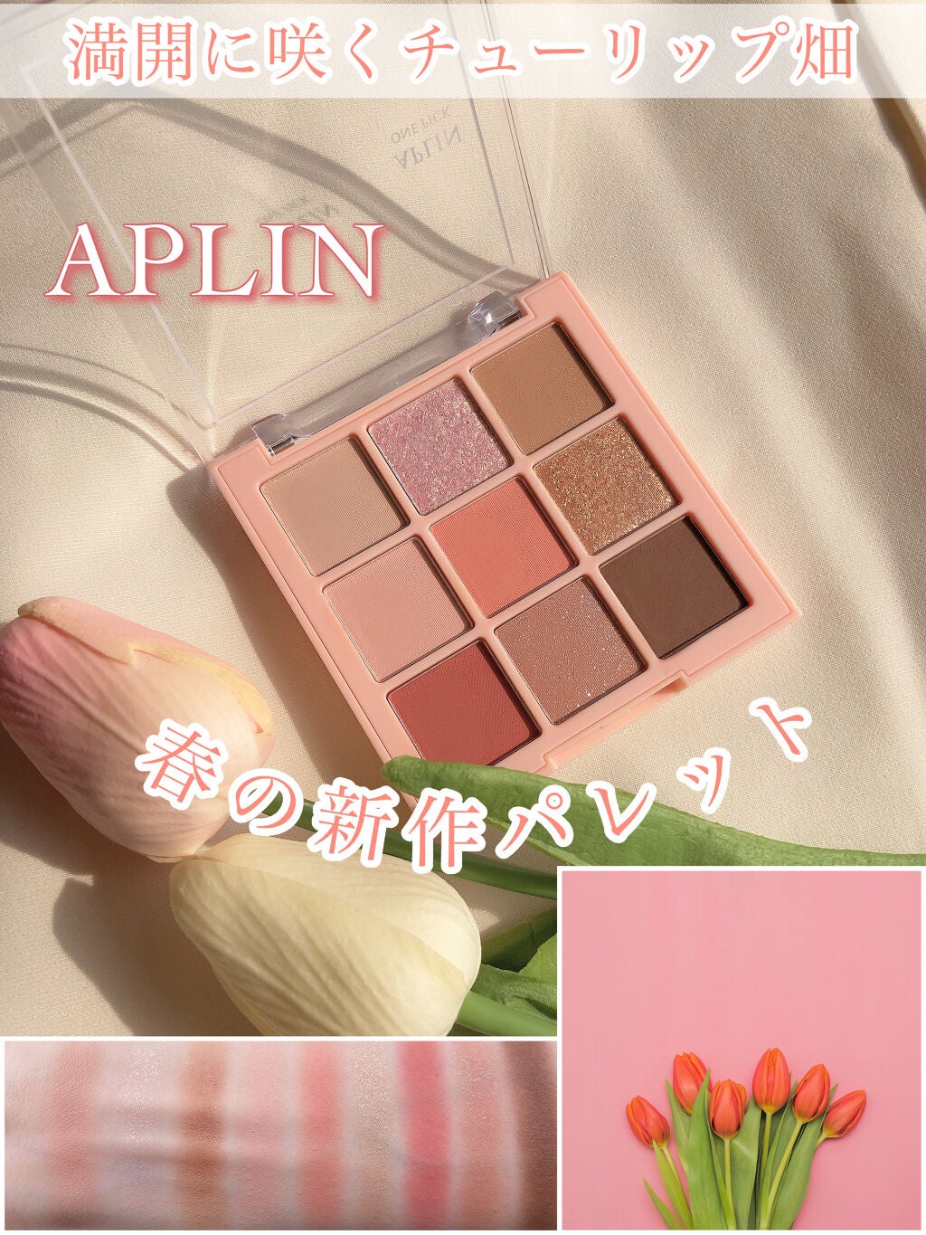 ワンピックアイシャドウパレット/APLIN/アイシャドウパレットを使ったクチコミ(1枚目)