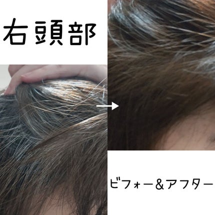 泡カラー 白髪用 4:ライトブラウン/ブローネ/ヘアカラーの画像