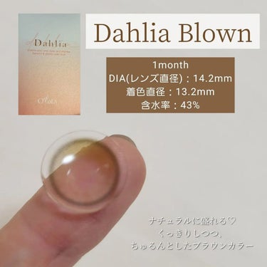 ダリアブラウンマンスリー (DAHLIA BROWN monthly)/OLOLA/１ヶ月（１MONTH）カラコンを使ったクチコミ（2枚目）