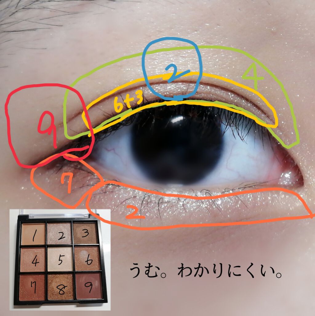 UR GLAM BLOOMING EYE COLOR PALETTE/U R GLAM/アイシャドウパレットを使ったクチコミ(3枚目)
