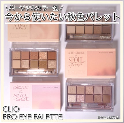 プロ アイ パレット/CLIO/アイシャドウパレットを使ったクチコミ(1枚目)