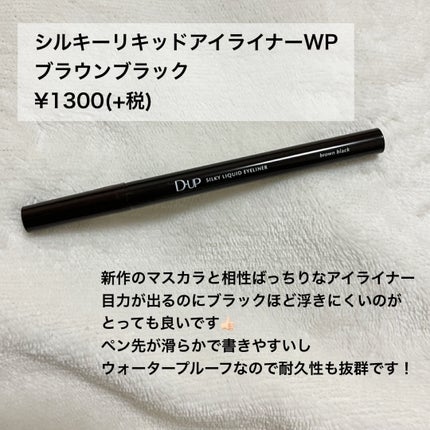 シルキーリキッドアイライナーWP/D-UP/リキッドアイライナーを使ったクチコミ(3枚目)