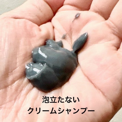 沖縄産マリンクレイシャンプー(クリームタイプ)/SuiSavon/市販シャンプーを使ったクチコミ(2枚目)