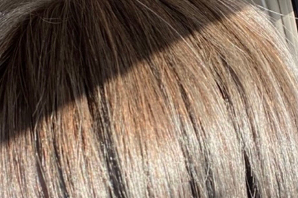 泡カラー/リーゼ/ヘアカラーを使ったクチコミ(4枚目)