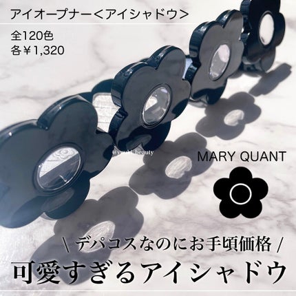 アイオープナー/MARY QUANT/単色アイシャドウを使ったクチコミ(1枚目)