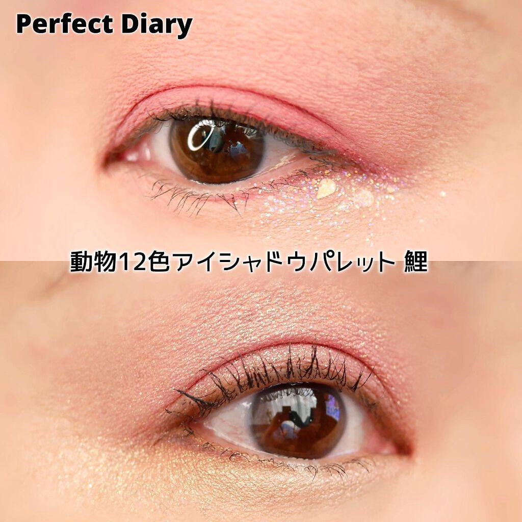 エクスプローラ12色 動物アイシャドウパレット/PERFECT DIARY/アイシャドウパレットを使ったクチコミ(8枚目)