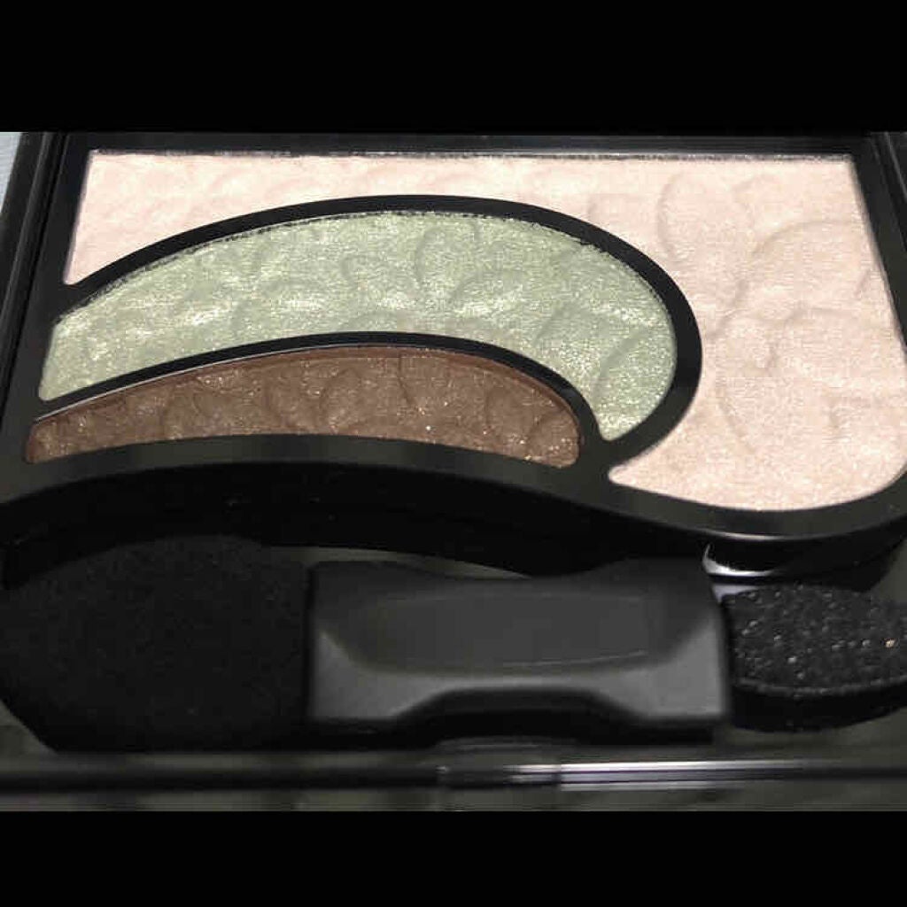 そのまま簡単仕上げ アイカラー/エルシア/アイシャドウパレットを使ったクチコミ(2枚目)