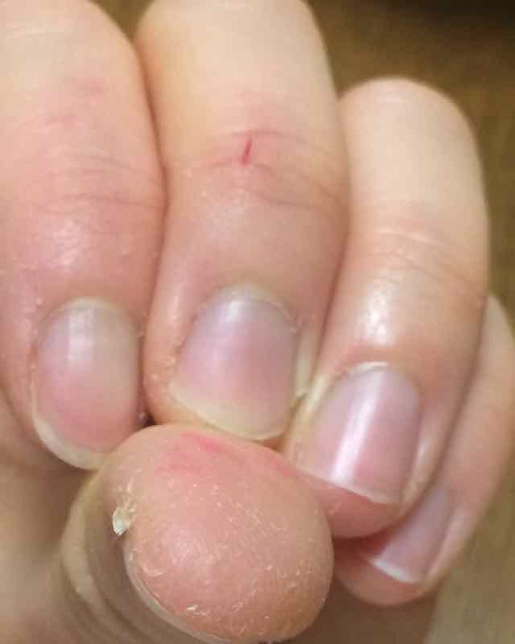 フエキ なかよしハンドクリーム/フエキ/ハンドクリームを使ったクチコミ（3枚目）