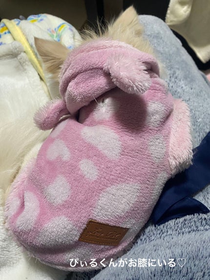 バスミルク コットンミルクの香り/クナイプ/入浴剤を使ったクチコミ(5枚目)