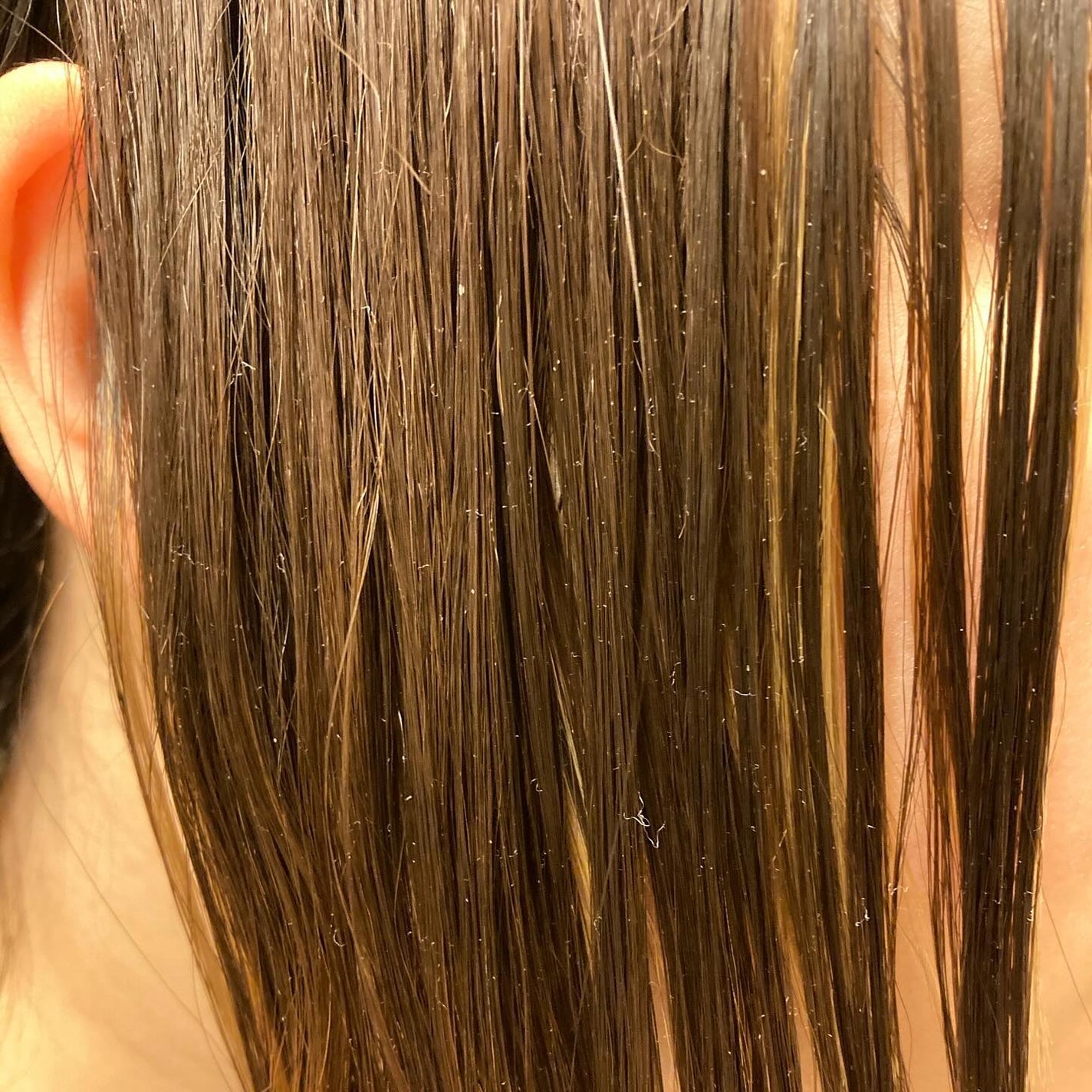 NIJI<ニジ>リズミック シャンプー/トリートメント/NIJI RHYTHMIC/市販シャンプーを使ったクチコミ(4枚目)