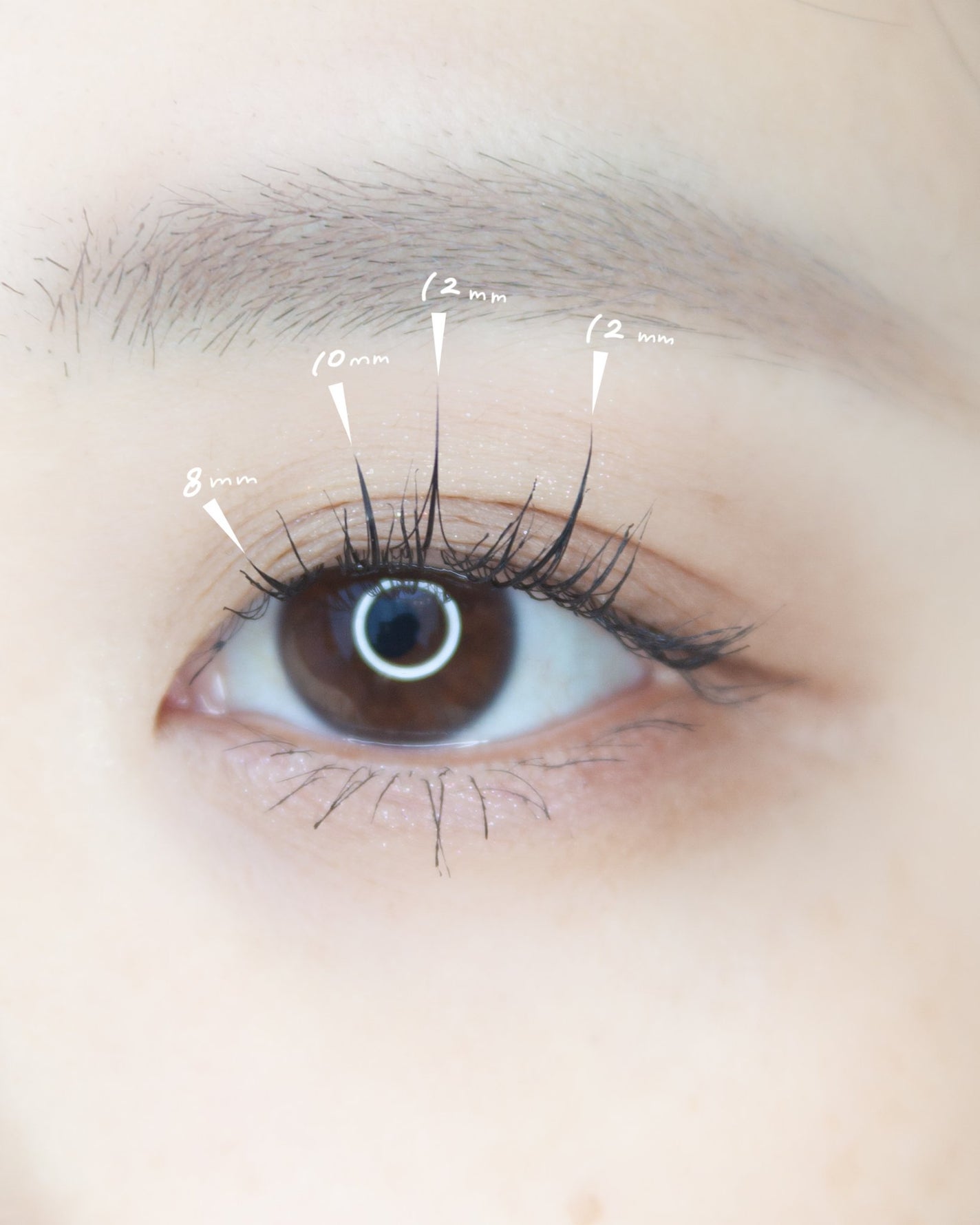 ミッシュブルーミン アイラッシュ インフィニティライン/ミッシュブルーミン/つけまつげを使ったクチコミ(3枚目)