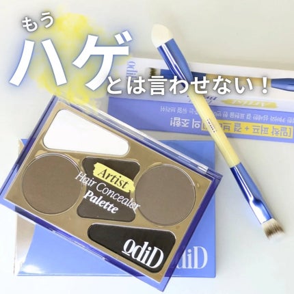 ヘアコンシーラーパレット&アーティスト デュアルブラシ/odiD/その他スタイリングを使ったクチコミ(1枚目)
