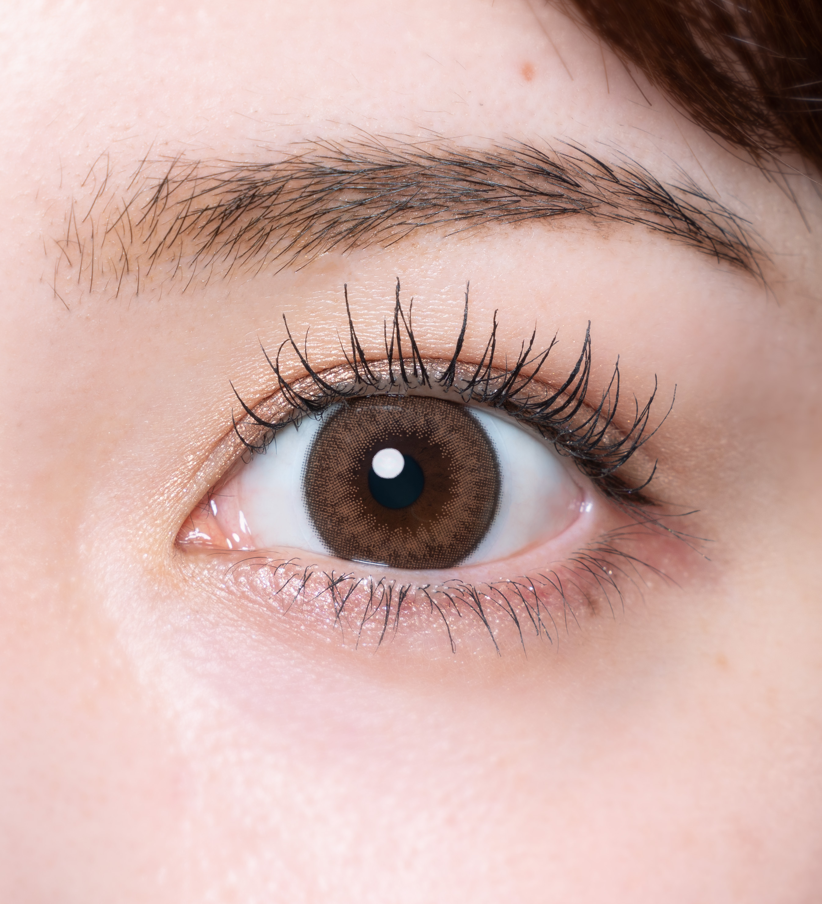 Quprie 1day シャルムブラウン