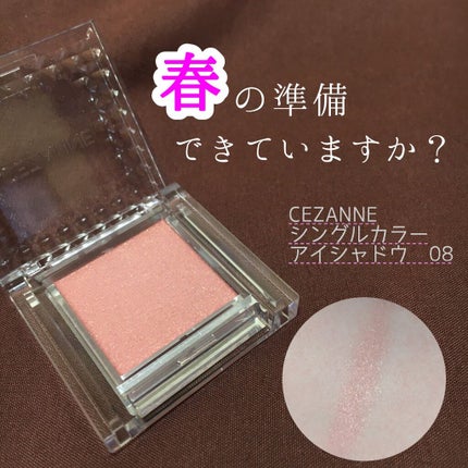 シングルカラーアイシャドウ/CEZANNE/単色アイシャドウを使ったクチコミ(1枚目)