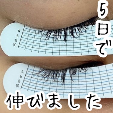 Eyebrow&Eyelash Serum/NUNSSUP JARA/まつげ美容液を使ったクチコミ（1枚目）