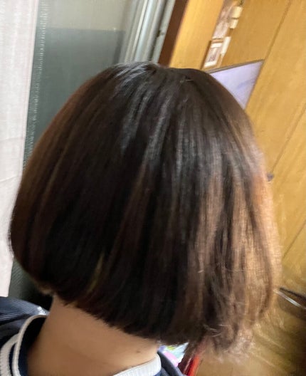 プリヴィレージュ シルクミラーストレート MHS-2410/mod's hair/ストレートアイロンを使ったクチコミ(4枚目)