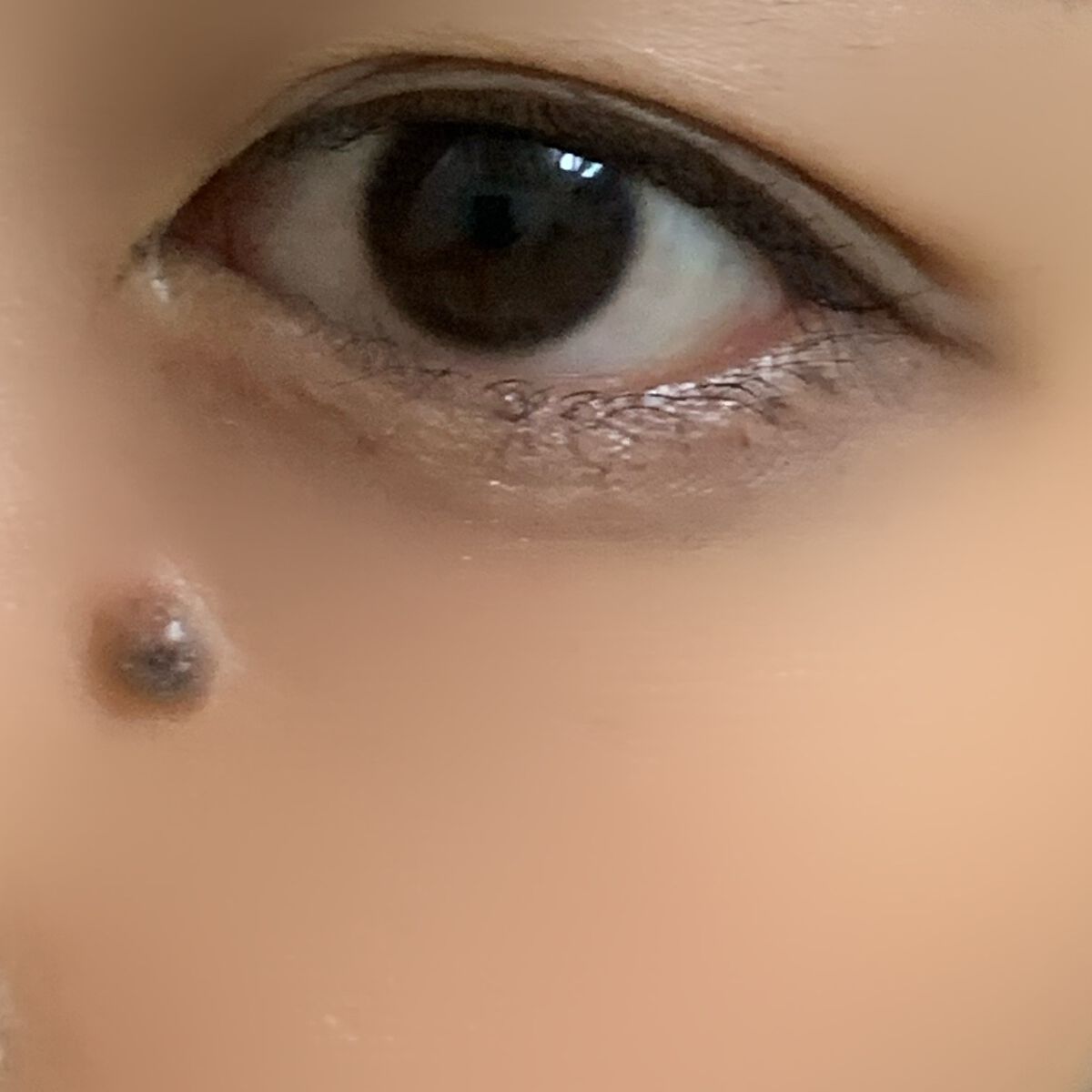 Fierceeyes by Diya(フィアースアイズbyダイヤ)/Diya/カラーコンタクトレンズを使ったクチコミ(5枚目)