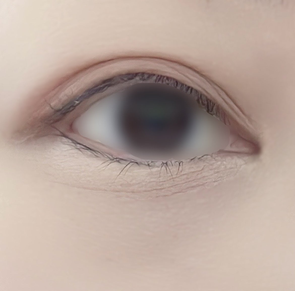 プランぷくコーデアイズ/キャンメイク/パウダーアイシャドウを使ったクチコミ(5枚目)