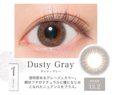 Victoria(ヴィクトリア）1day Dusty Gray/Victoria/ワンデー（１DAY）カラコンを使ったクチコミ（1枚目）