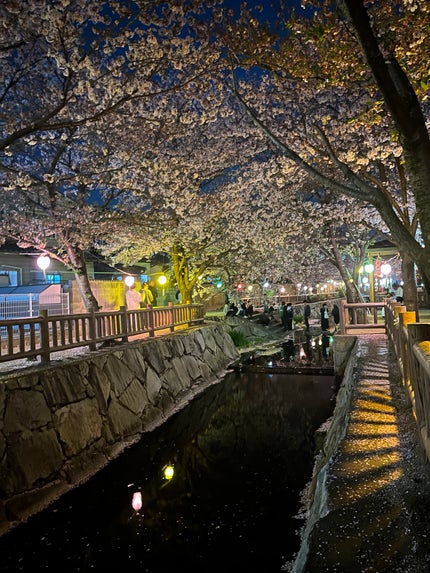 ジェルネイルシール/ZINIPIN/ネイルシールを使ったクチコミ(2枚目)