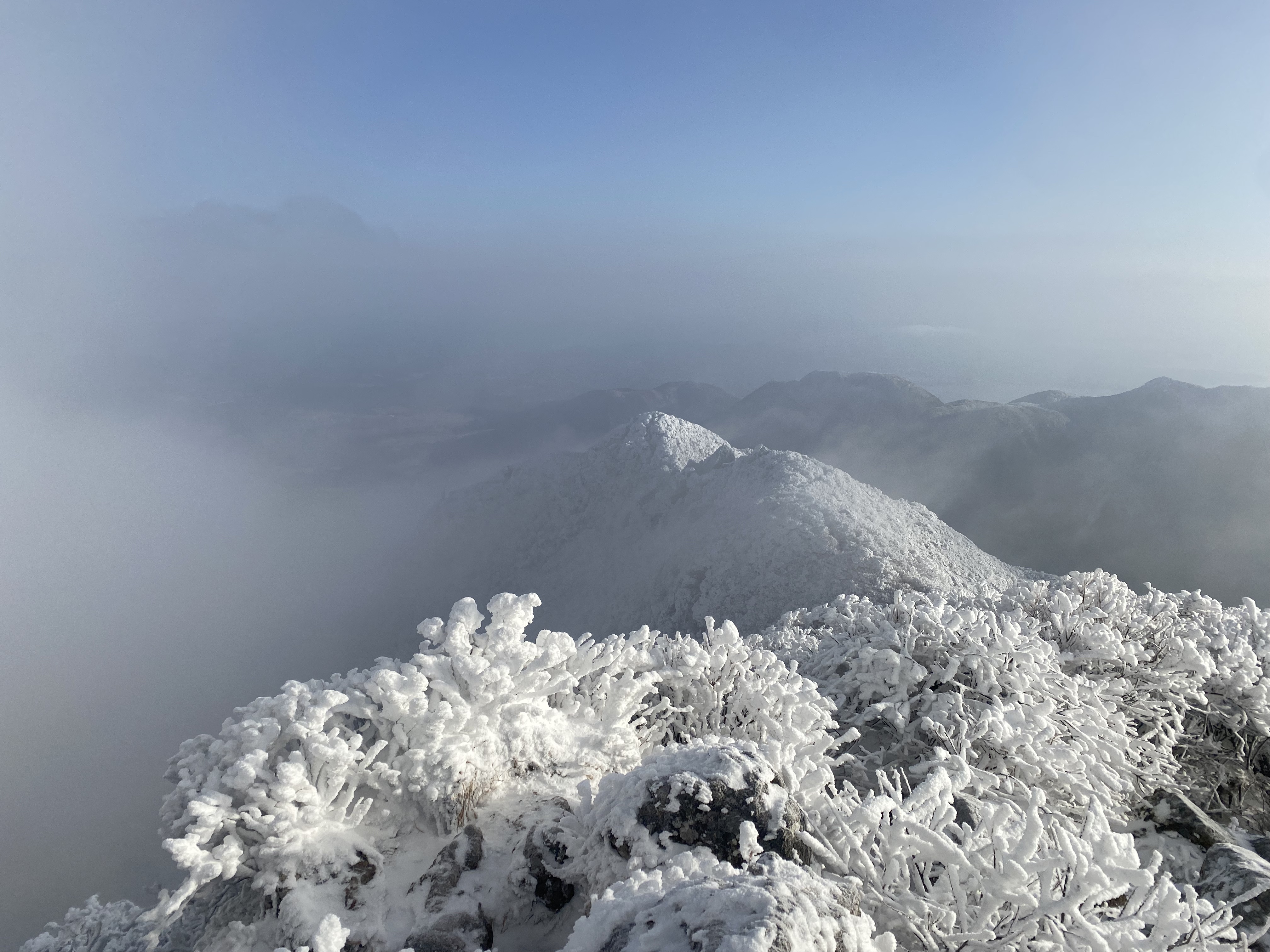 ビオレUV アクアリッチ ウォータリーエッセンス/ビオレ/日焼け止めローションを使ったクチコミ（2枚目）