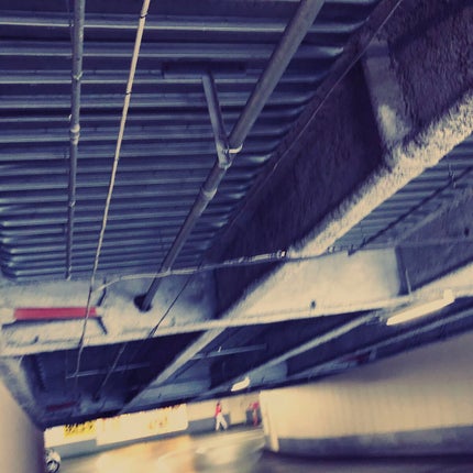 発酵プラセンタ/CUSTOM No.333 by New York/美容液を使ったクチコミ(1枚目)