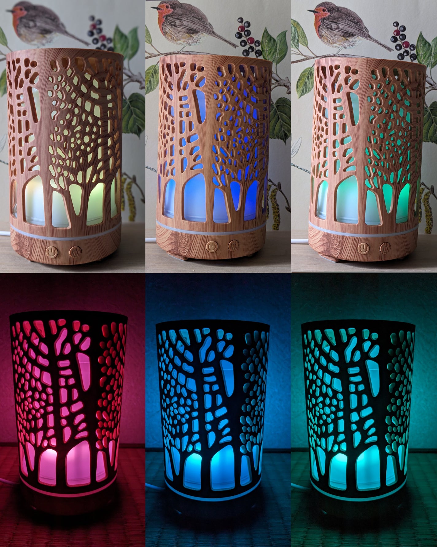 コスメ大好き☆きらら on LIPS 「コエタスのモニターキャンペーンを通して、ENHANCERYアロ..」(5枚目)