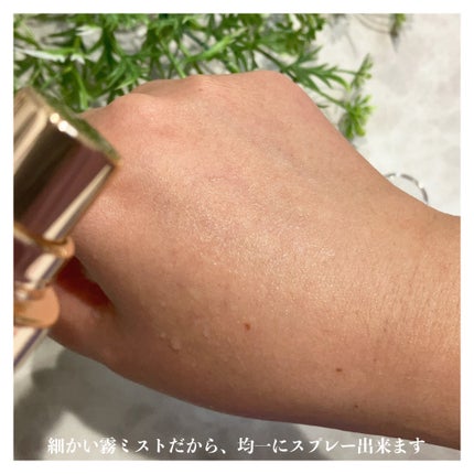 ダルバ ホワイトトリュフバイタルスプレーセラム/ダルバ/ミスト状化粧水を使ったクチコミ(5枚目)
