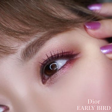 サンク クルール クチュール＜バーズ オブ ア フェザー＞/Dior/アイシャドウパレットを使ったクチコミ（1枚目）