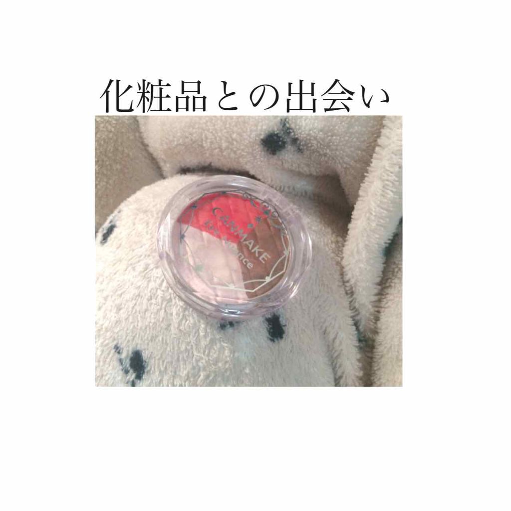 アイニュアンス No.32 ショコラアップル/キャンメイク/アイシャドウパレットを使ったクチコミ（1枚目）