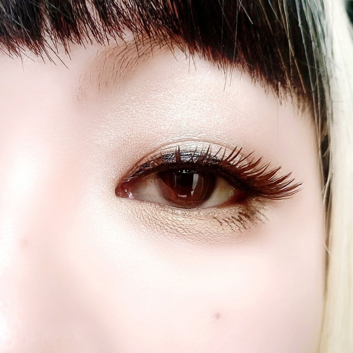 パーフェクトスタイリストアイズ/キャンメイク/アイシャドウパレットを使ったクチコミ(5枚目)