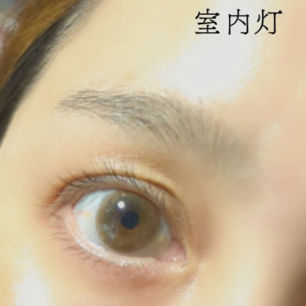 U.P.D. 1day/U.P.D./ワンデー(1DAY)カラコンを使ったクチコミ(5枚目)