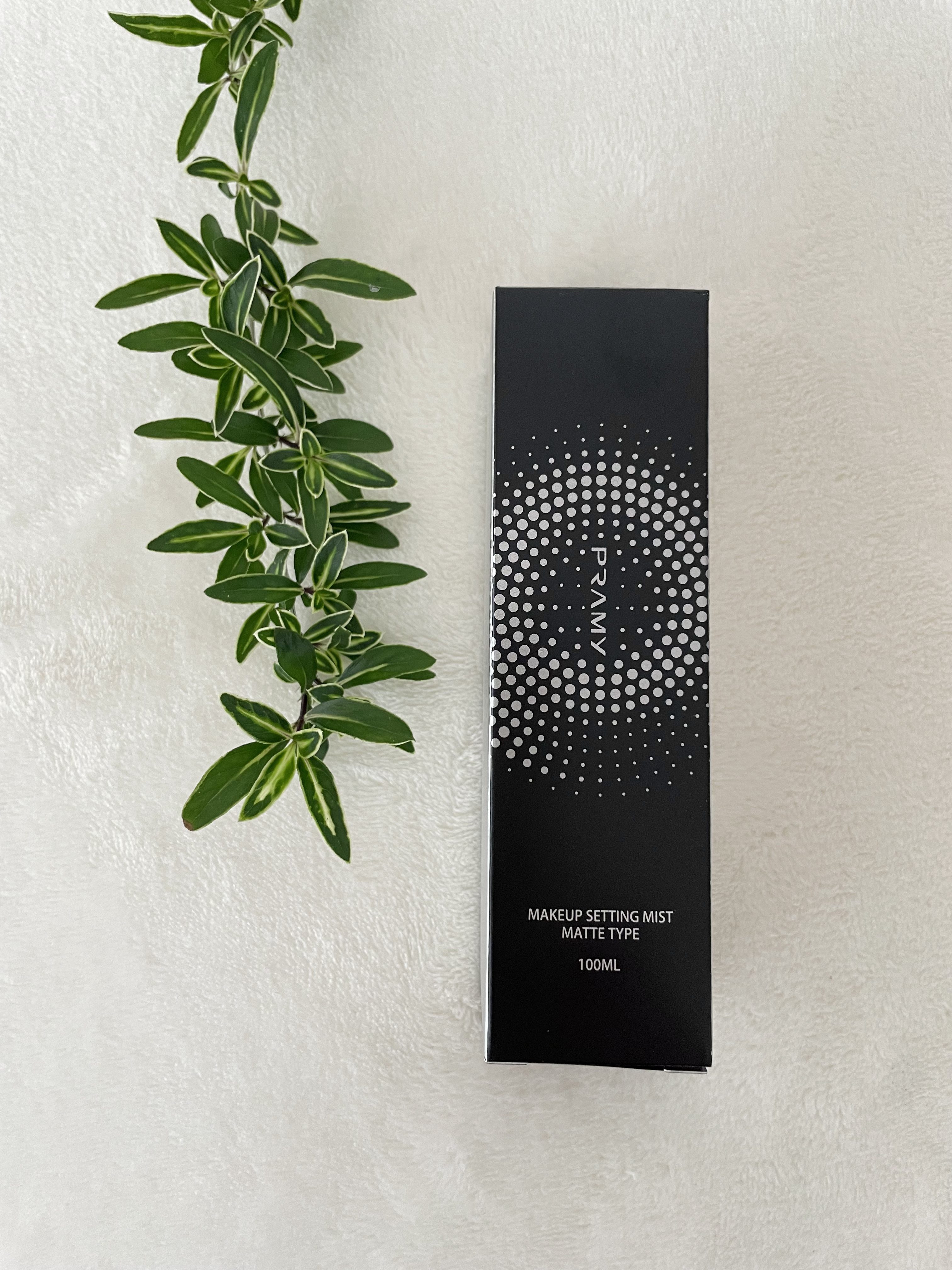 PRAMY メイクアップセッティングミスト マットタイプ 100ml/PRAMY/フィックスミストを使ったクチコミ（3枚目）