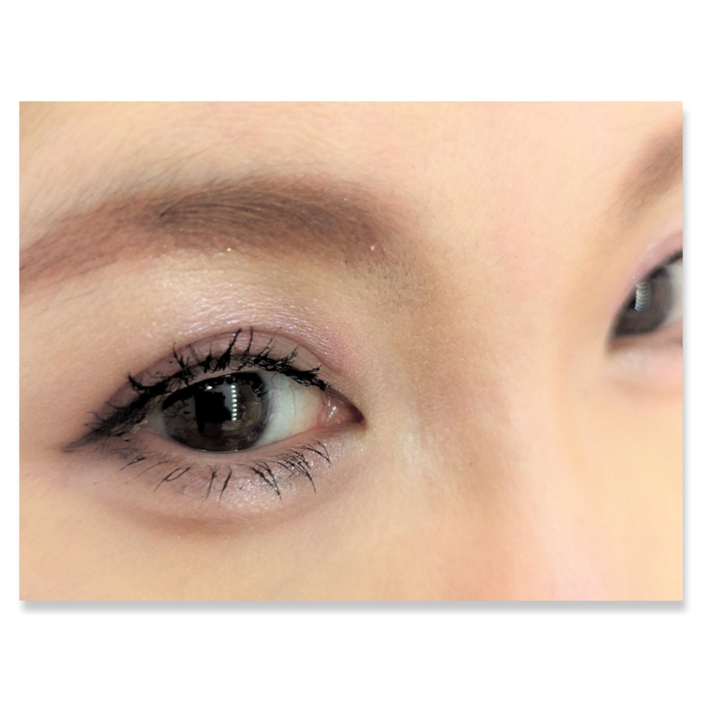 プレイカラーアイズミニ リプレイコレクション/ETUDE/アイシャドウパレットを使ったクチコミ(2枚目)