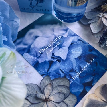 ブルー ハイドレンジア オードパルファン/Flora Notis JILL STUART/香水(レディース)を使ったクチコミ（9枚目）