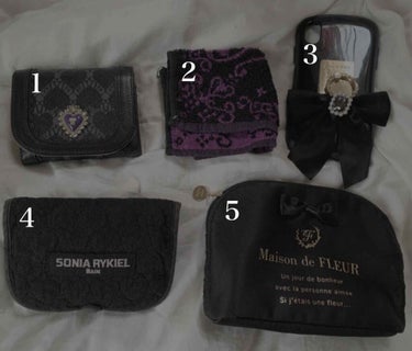 メイクアップ パレット 1/ANNA SUI/その他化粧小物を使ったクチコミ（3枚目）