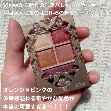 パノラマデザイン アイパレット/Visée/アイシャドウパレットを使ったクチコミ(3枚目)