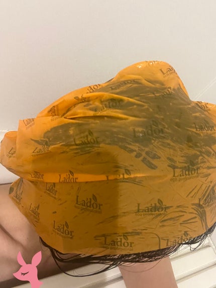 ACV VINEGAR HAIR CAP /La'dor/アウトバストリートメントを使ったクチコミ(2枚目)