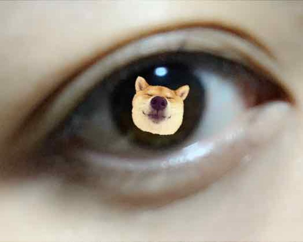 クイックラッシュカーラーL&V/キャンメイク/マスカラ下地を使ったクチコミ（2枚目）