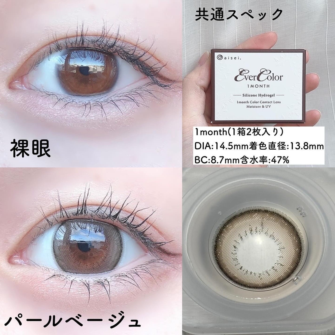 エバーカラーワンデー ナチュラル/エバーカラー/ワンデー(1DAY)カラコンを使ったクチコミ(2枚目)