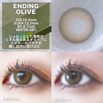 SCANDI 1day/OLENS/カラーコンタクトレンズを使ったクチコミ(3枚目)