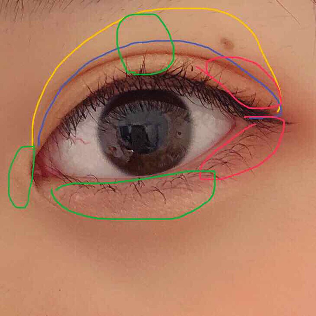 アイシャドウブラシセット/ロージーローザ/メイクブラシを使ったクチコミ(3枚目)