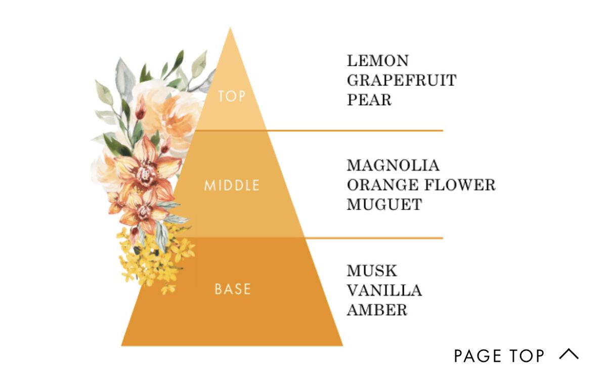 ボタニカル素肌想いの柔軟剤 エアリーブロッサムの香り/NICE ＆ QUICK/柔軟剤を使ったクチコミ（2枚目）