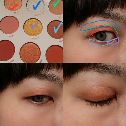 bird of Paradise/ColourPop/アイシャドウパレットを使ったクチコミ(4枚目)