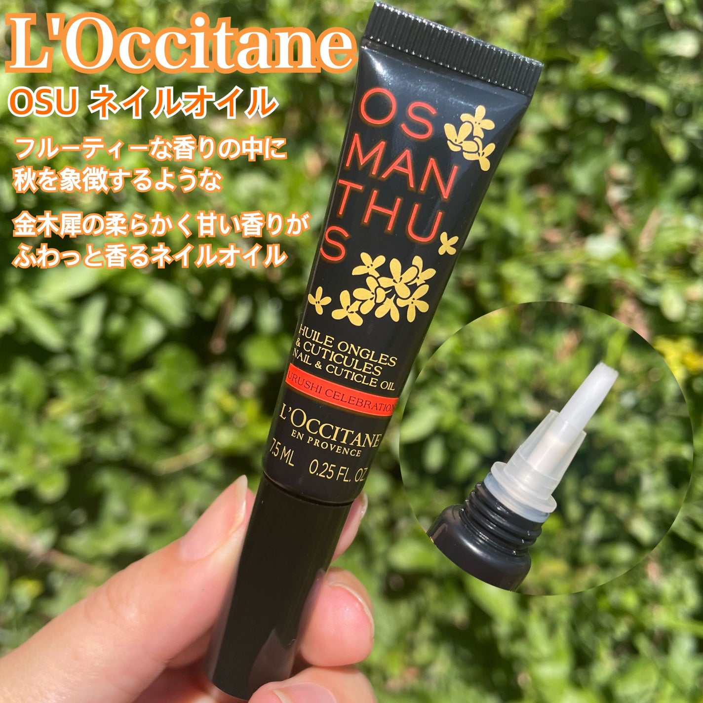 金木犀 ボディー&ヘアミスト/生活の木/香水(その他)を使ったクチコミ(3枚目)