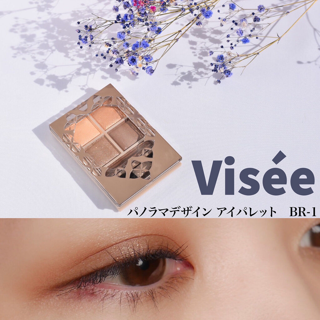 パノラマデザイン アイパレット/Visée/アイシャドウパレットを使ったクチコミ（1枚目）