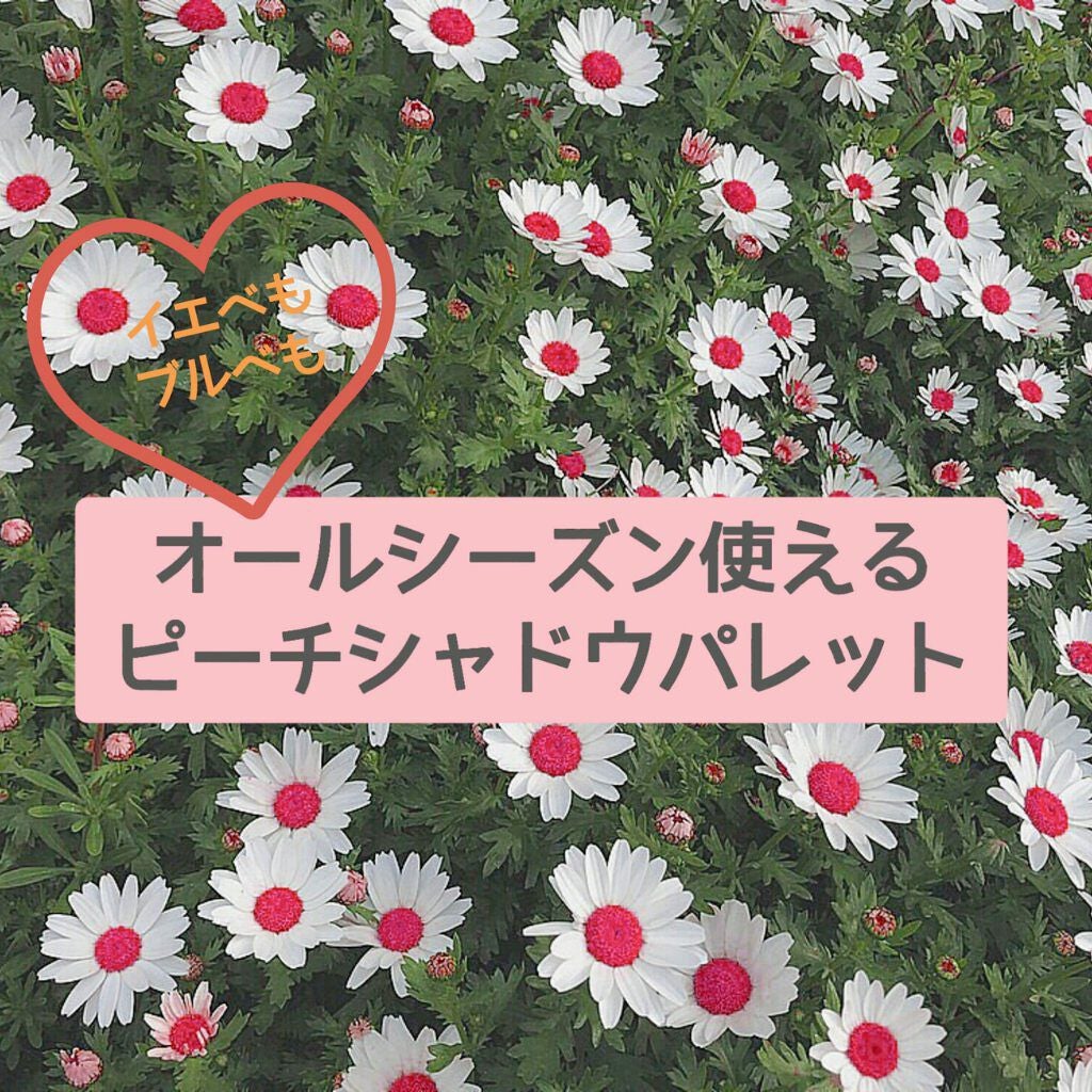 NOTONE Peach Blush Toast cafe eye palette /Sonomama FRUIT/アイシャドウパレットを使ったクチコミ(1枚目)